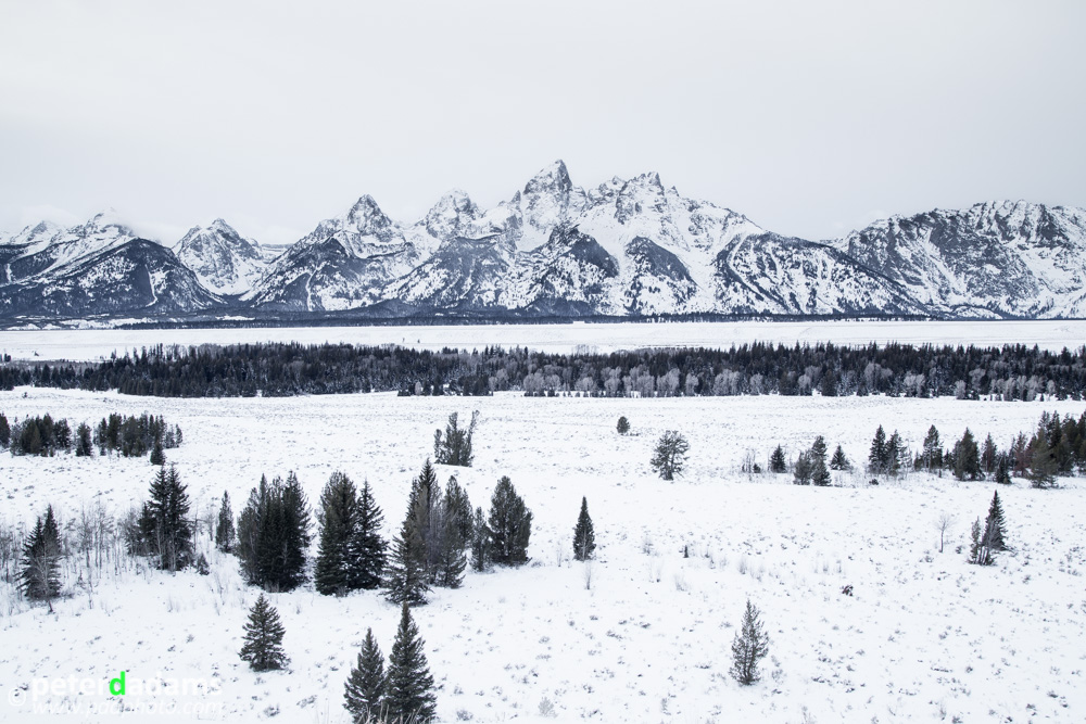 I Love Big Tetons Too